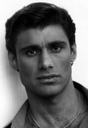 Steven Bauer