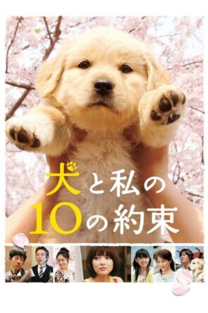 犬と私の10の約束 izle (2008)