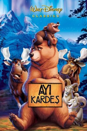 Ayı Kardeş izle (2003)