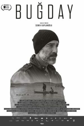 Buğday izle (2017)