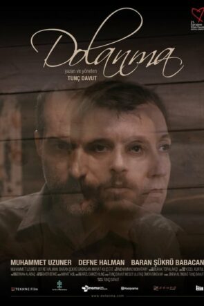 Dolanma izle (2015)