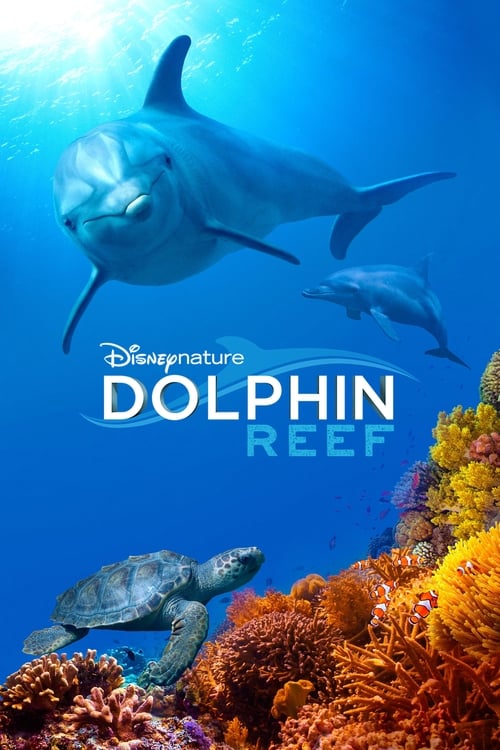 Dolphin Reef izle (2018)