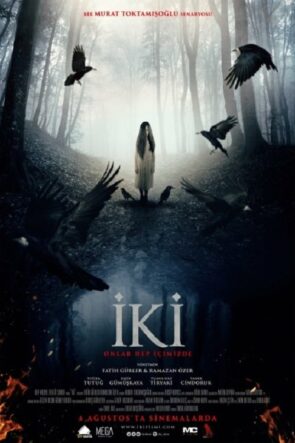 İki izle (2017)