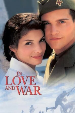 In Love and War izle (1996)