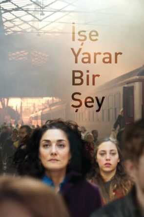 İşe Yarar Bir Şey izle (2017)