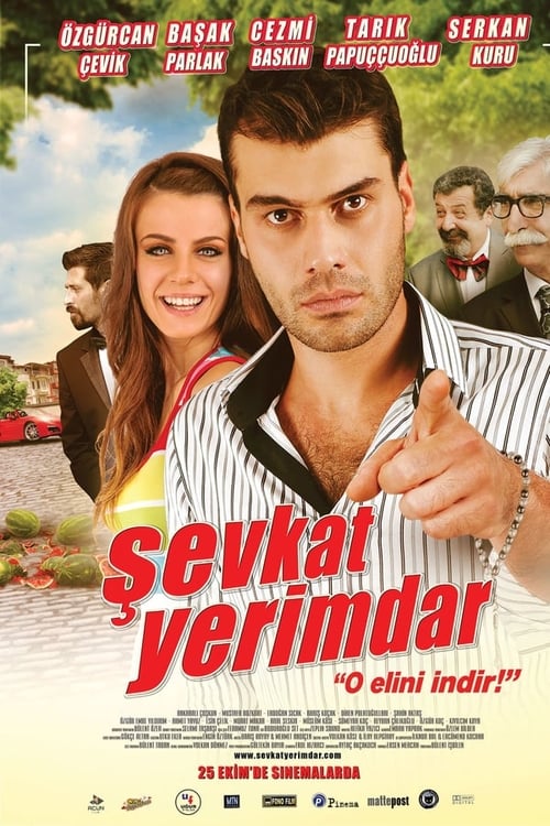 Şevkat Yerimdar izle (2013)