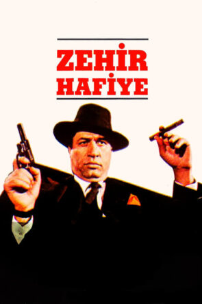 Zehir Hafiye izle (1989)