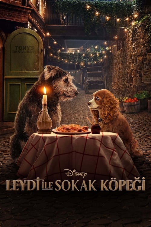 Lady ile Sokak Köpeği izle (2019)